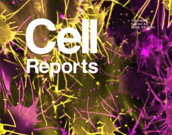 Image of Cell Reports cover