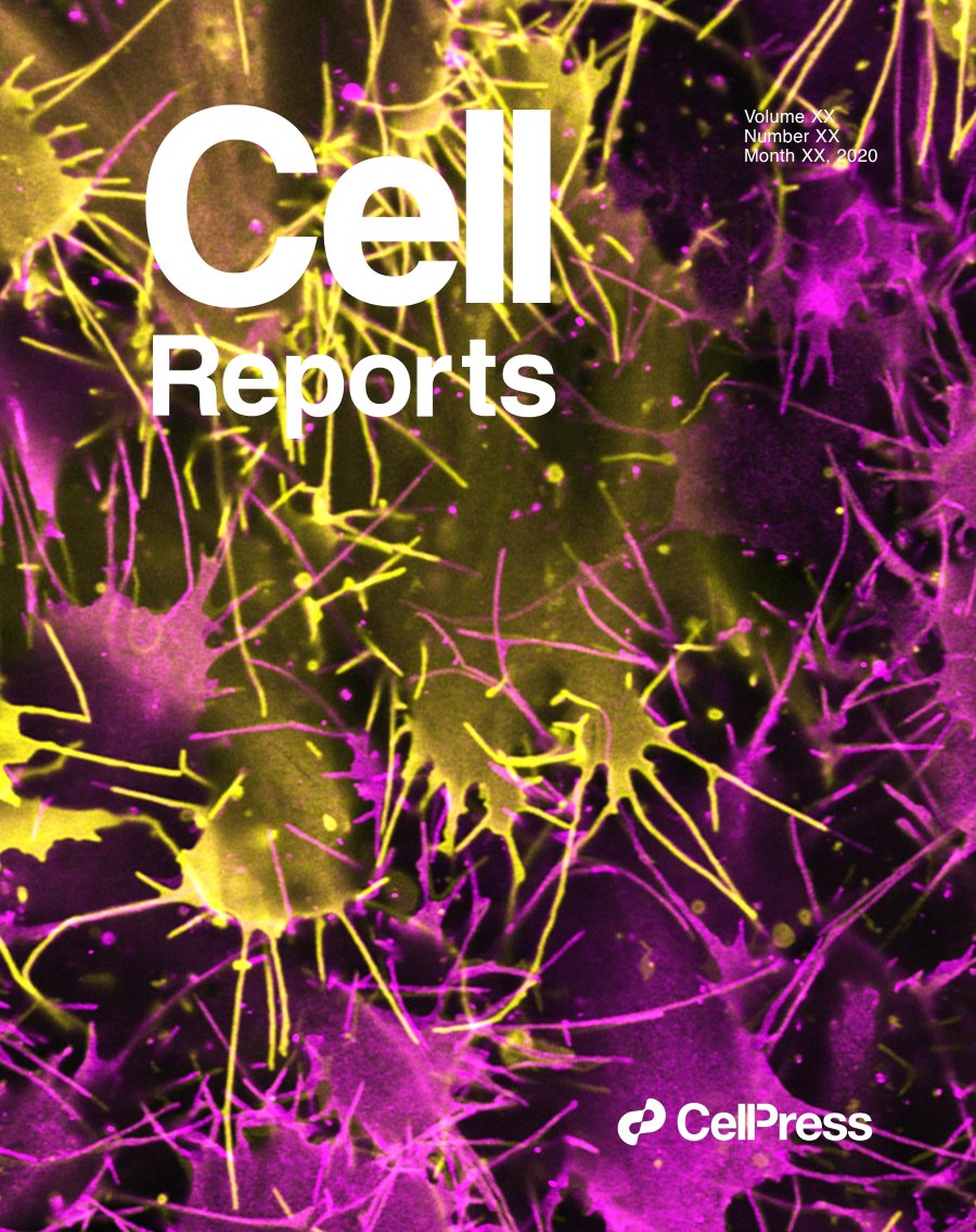 Image of Cell Reports cover