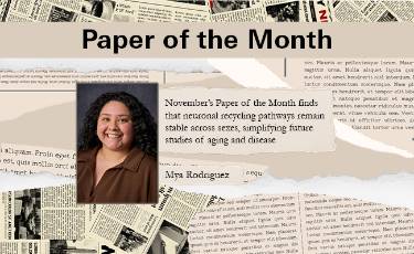 November’s Paper of the Month finds that neuronal recycling pathways remain stable across sexes, simplifying future studies of aging and disease.