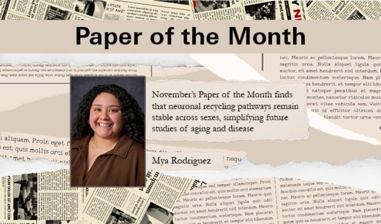November’s Paper of the Month finds that neuronal recycling pathways remain stable across sexes, simplifying future studies of aging and disease.