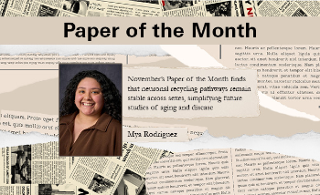 November’s Paper of the Month finds that neuronal recycling pathways remain stable across sexes, simplifying future studies of aging and disease.