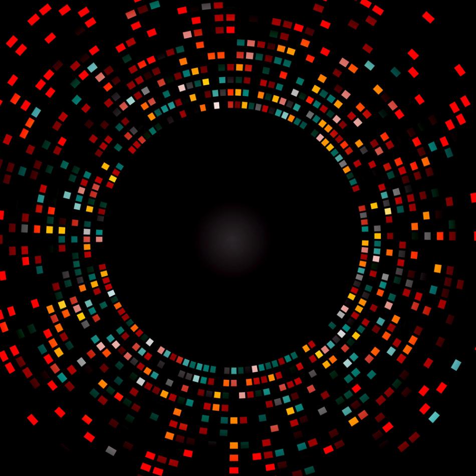 DNA Fingerprinting for G&E Contact Us