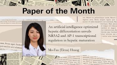 'Paper of the Month' graphic featuring a portrait of Mo-Fan (Elena) Huang and the title of an AI-optimized hepatic differentiation study