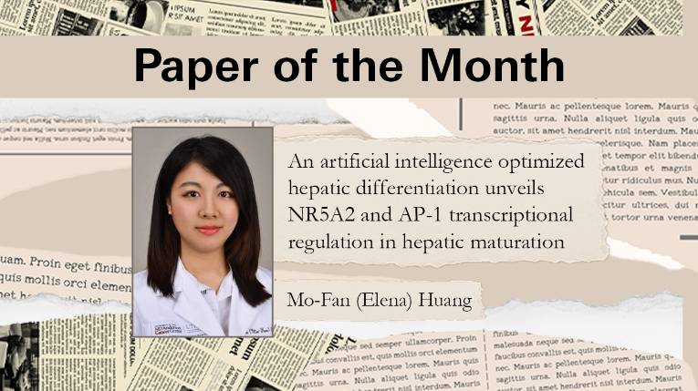 'Paper of the Month' graphic featuring a portrait of Mo-Fan (Elena) Huang and the title of an AI-optimized hepatic differentiation study