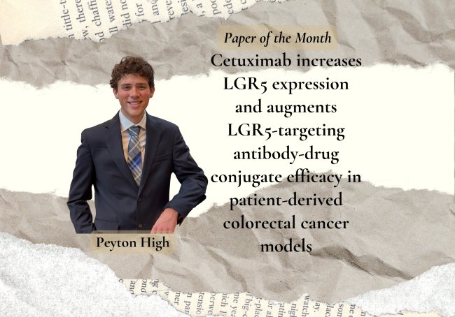 September’s Paper of the Month explores a novel combination therapy with one goal: overcoming toxicity and resistance in colorectal cancer