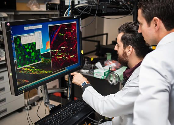 Two individuals in lab coats examining data on a computer screen photo